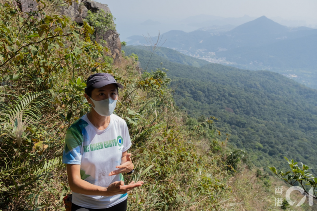 螢幕擷取畫面_2024-10-14_200042