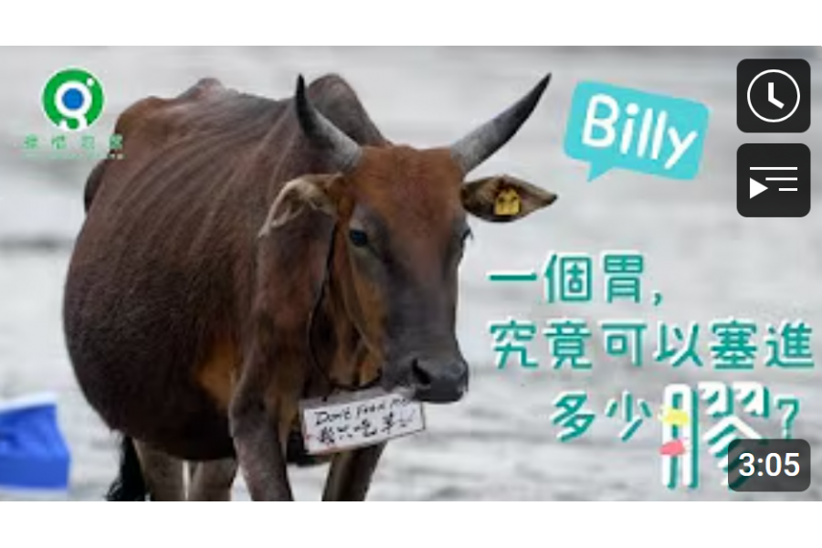 螢幕擷取畫面_2025-02-26_115148