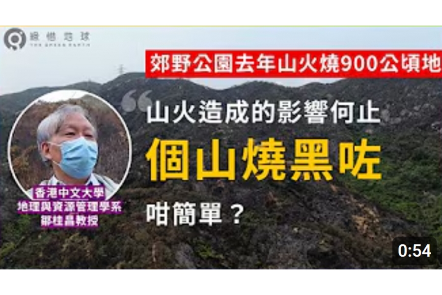 螢幕擷取畫面_2025-02-26_120602
