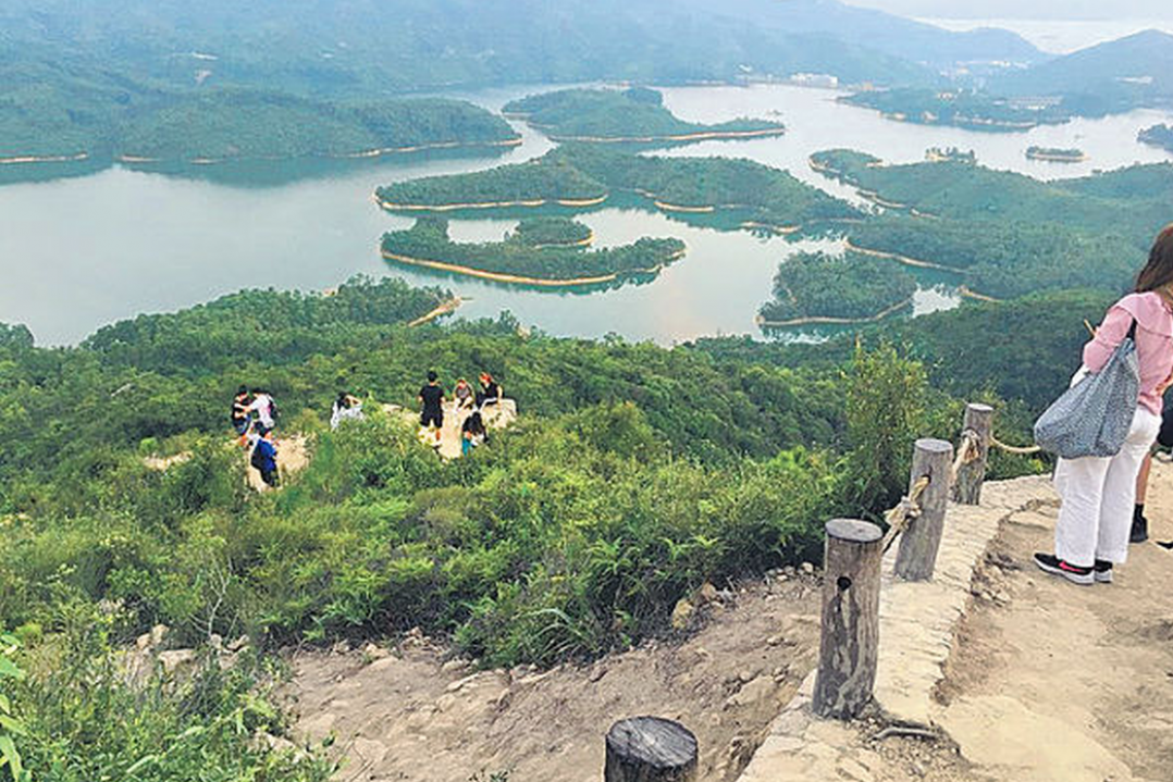 螢幕擷取畫面_2024-10-14_195800