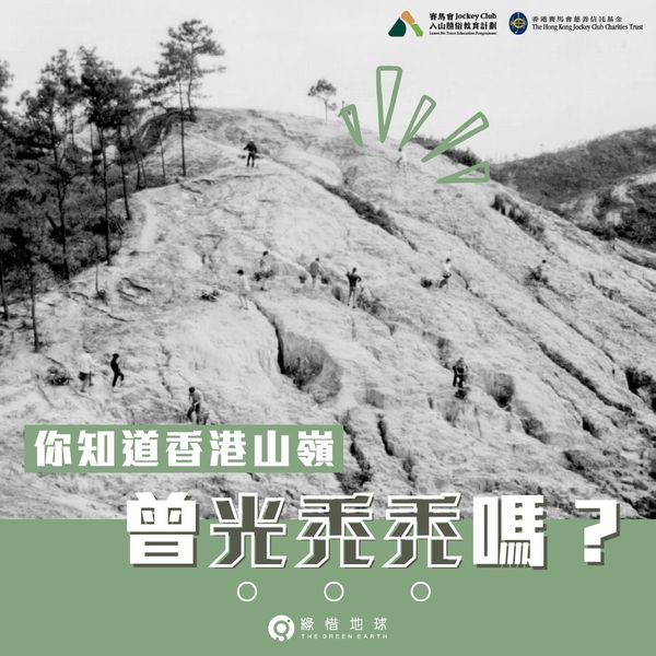 Do you know that the mountains of Hong Kong were once bare?(2024/02/23)