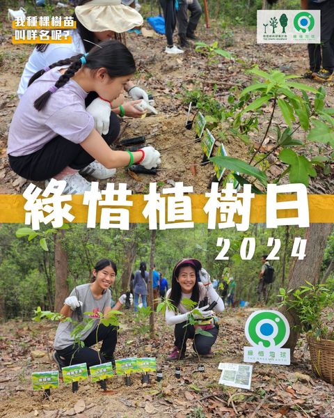 Let's Build the Woodland Together!(2024/05/23)