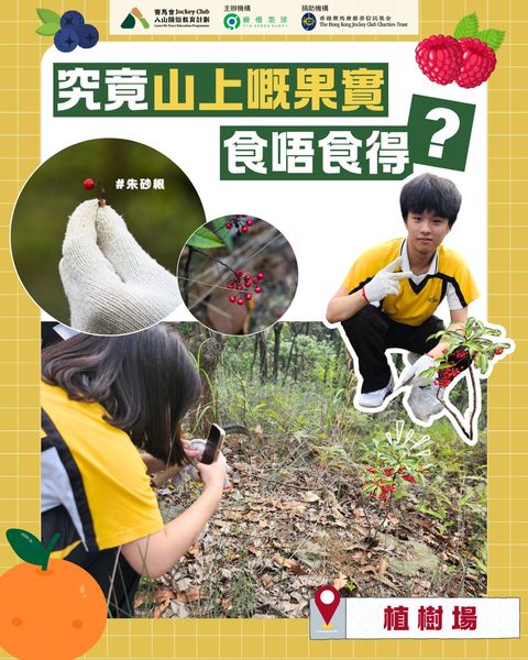 Are the Wild Fruits Edible?(2024/06/05)