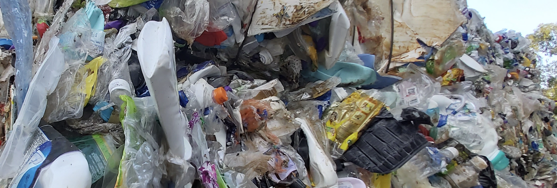 Waste Reduction and Recycling