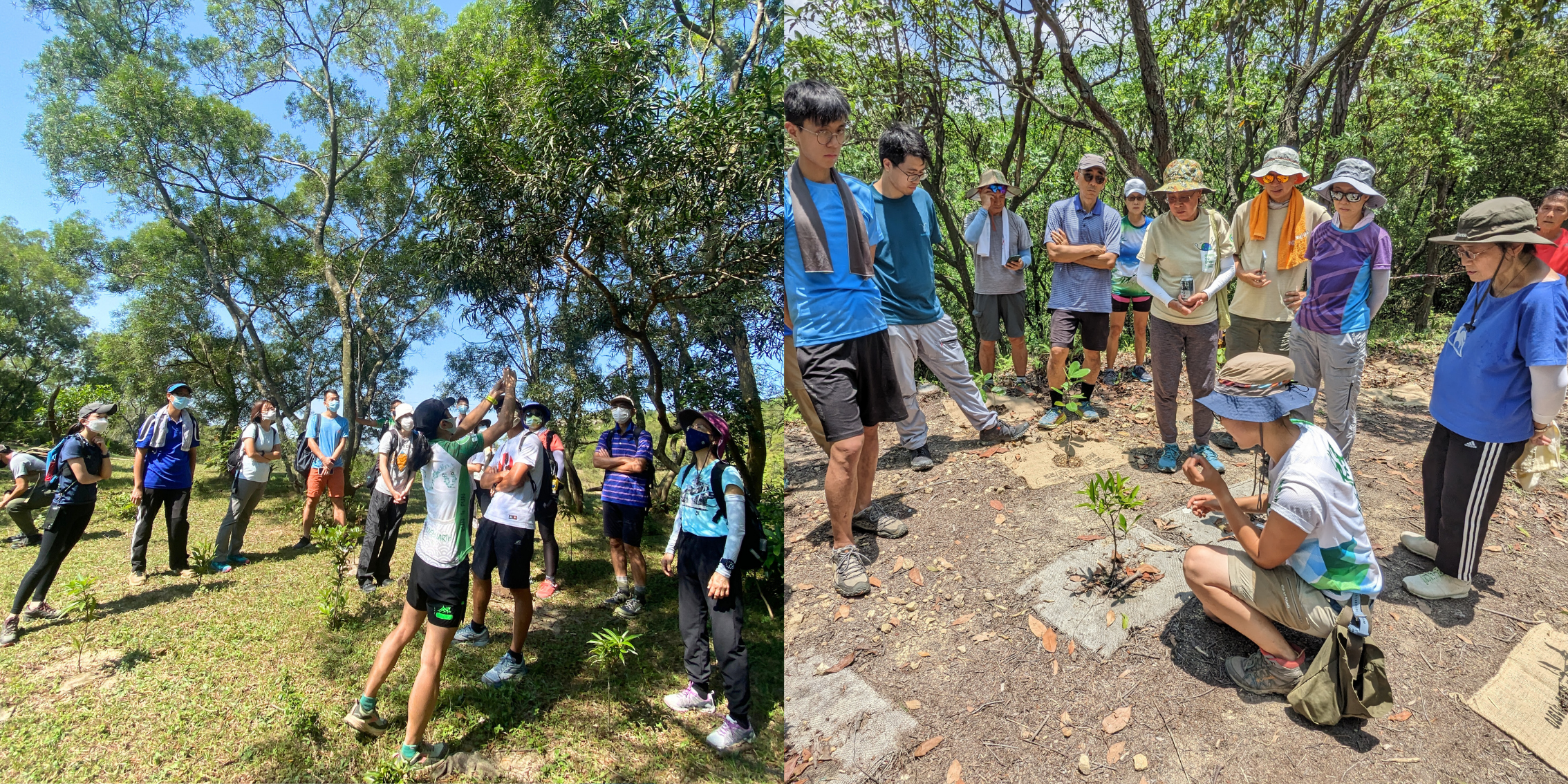 Staff and volunteer training
