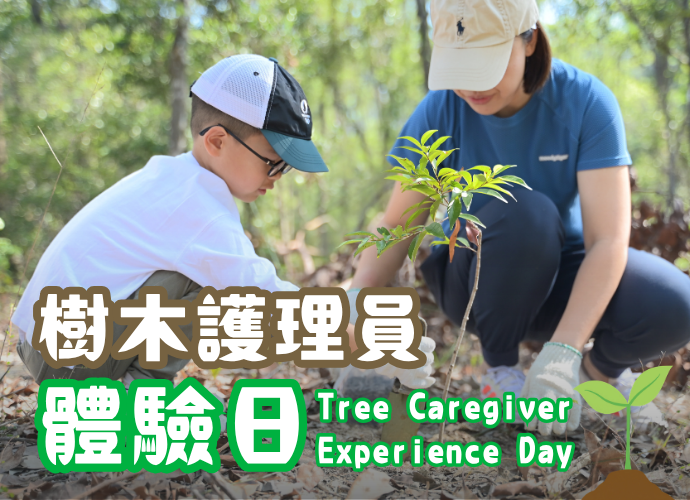 樹木護理員體驗日